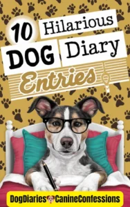 10 Hilarious Dog Diary Entries