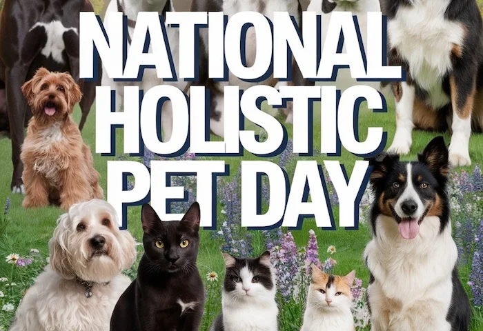 National Holistic Pet Day: Paws, Purrs, and Zen for Fluffy